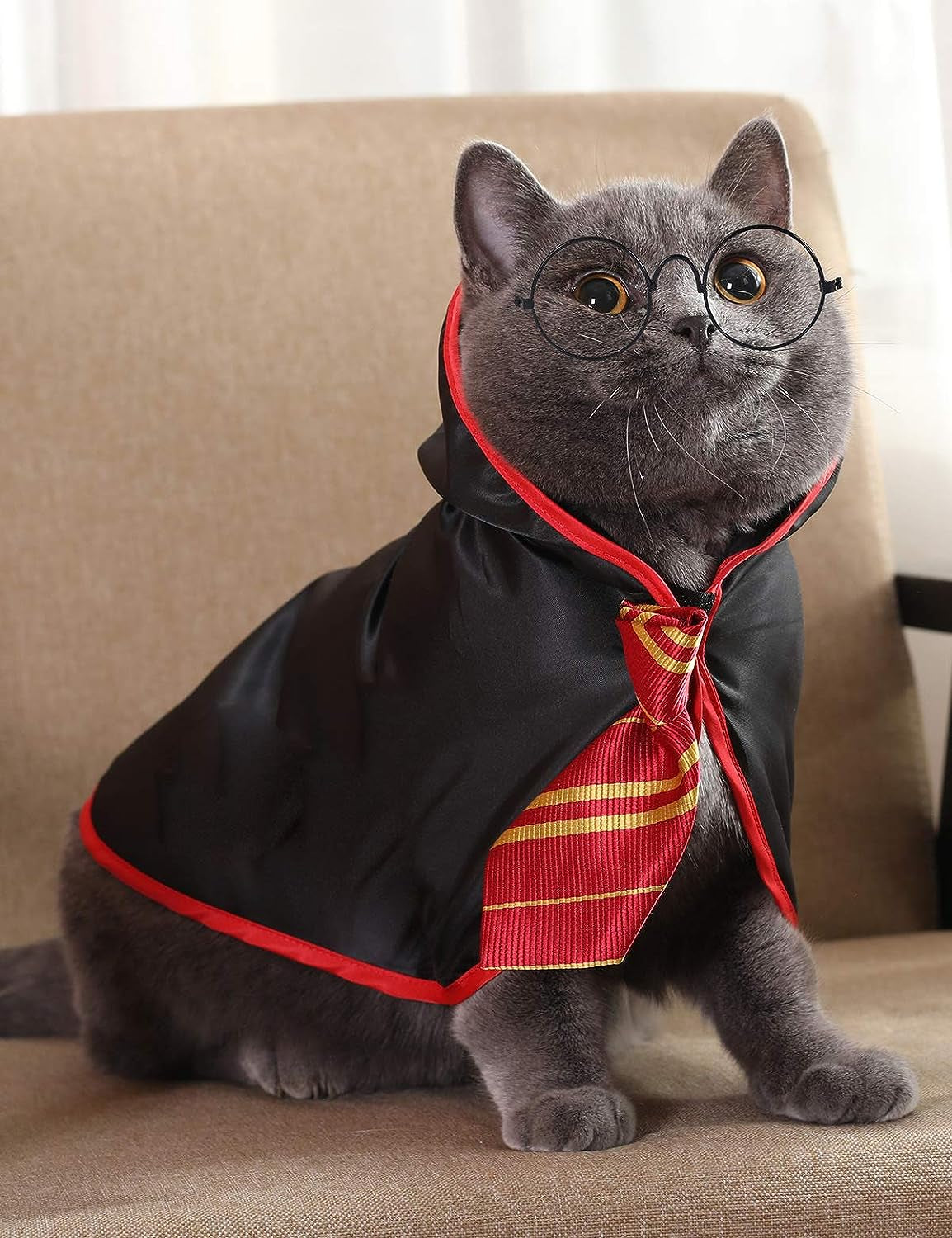 Cat Halloween Costume Anime Pet Clothes for Small Dog Kitten Costume Wizard Accessories Outfits (S) Red